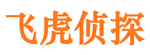 孝南外遇调查取证